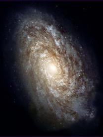 Click for the Dr. Carol Sue Rosin Peace in Space Page Click for the Dr. Carol Sue Rosin Peace in Space Page