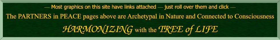 click for Bridge to Peace Project info