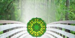 Vision Alignment Project Website