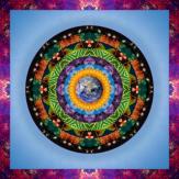 The Gaia Field Project Website